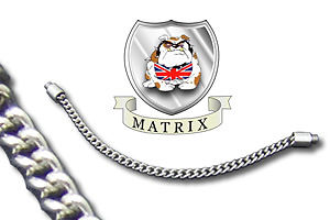 Matrix Innovations 6" Stainless Chain